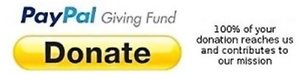 PayPal Giving Fund button